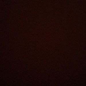 Meet your Posher, Bella